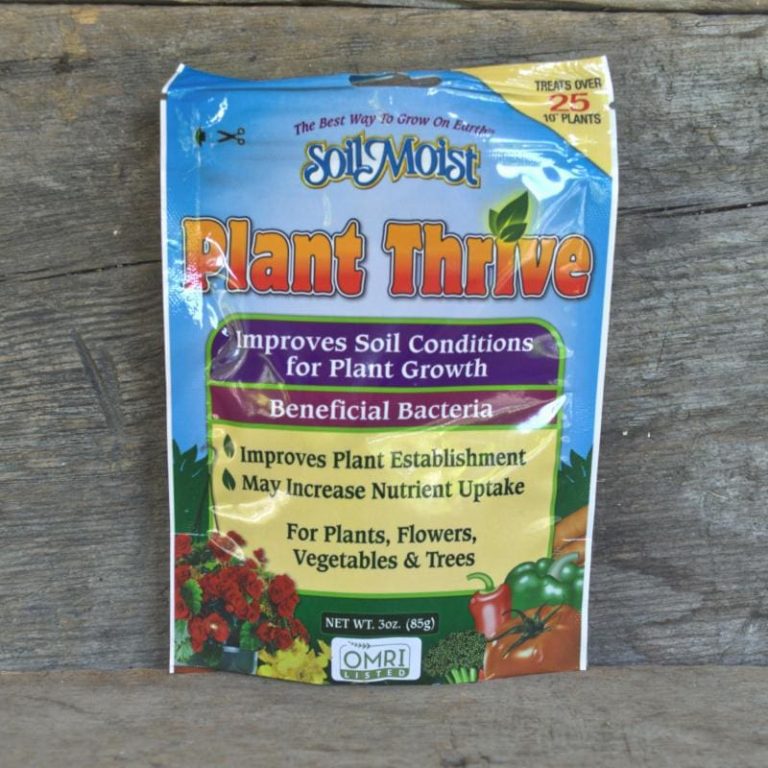 Grow Cherry from Seeds: Easy Steps for Thriving Trees