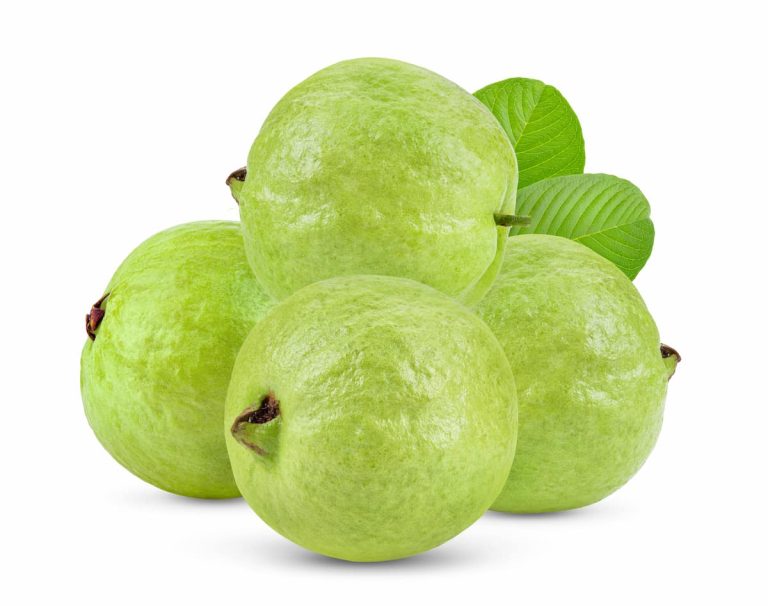 Grow Guava from Seeds: 10 Simple Steps for Success