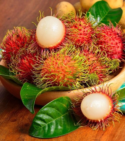 Grow Rambutan from Seeds: The Ultimate Guide to Cultivating Your Own Exotic Fruits